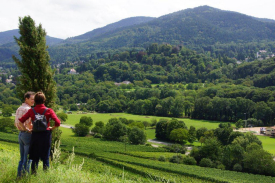 Wandern in Badenweiler