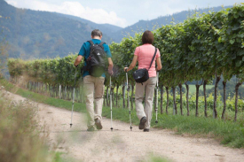 Nordic Walking in Badenweiler